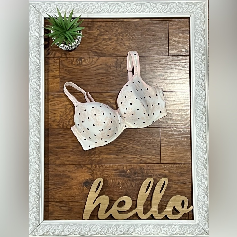 Cacique Padded Bra
